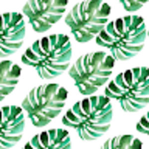 Meet your Posher, Alexa,